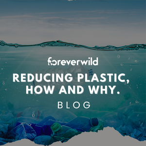 Reducing plastic, how and why?