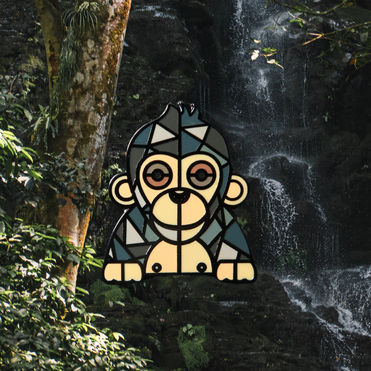 Chimpanzee – foreverwild