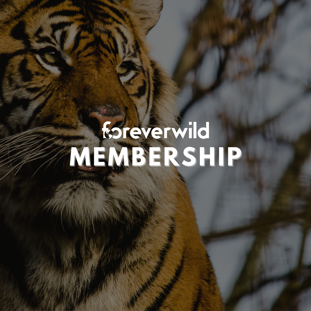 foreverwild Membership Scheme